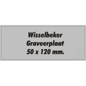 Kunststof Graveerplaatjes 50x120mm