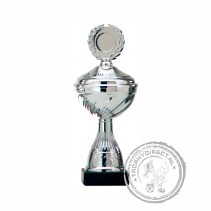Sportbeker-sportprijs AK5385 zilver