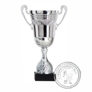 Sportbeker-sportprijs-wisselbeker AK5390