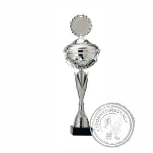 Sportprijs-Wisselbeker AK5820 zilver